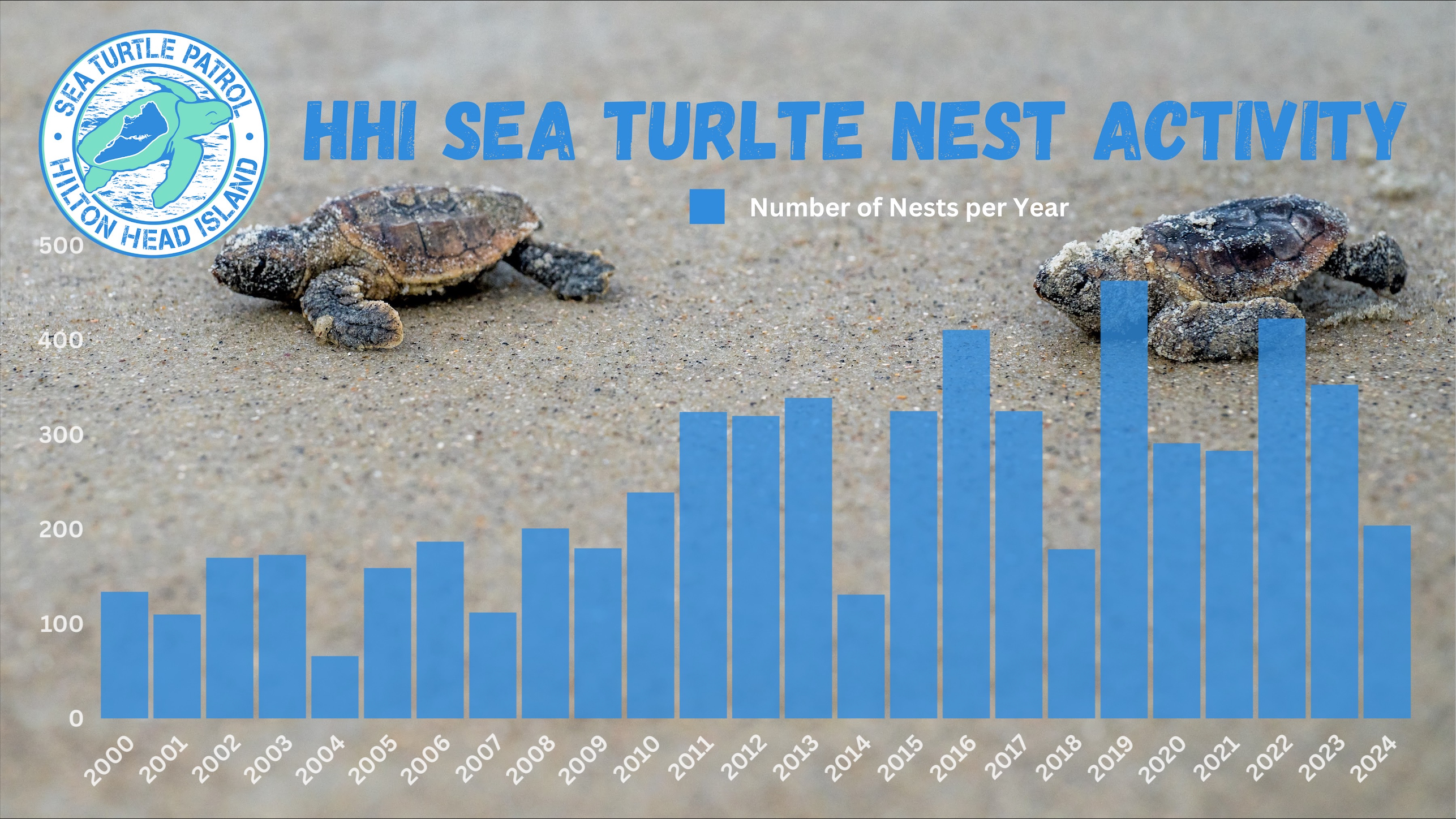 HHI Sea Turtle Nest Activity