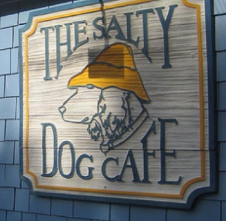 salty dog