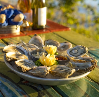 oysters on a plate