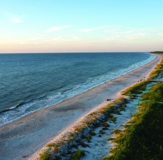 aerial shot of beach
