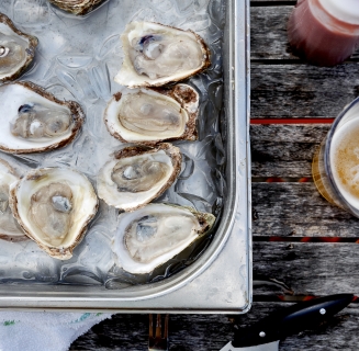 oysters