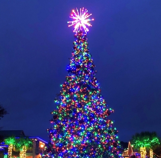 Holiday Lights and Tree at Shelter Cove Towne Centre