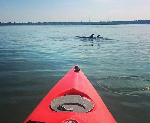 kayak