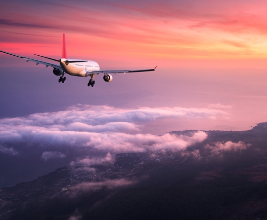 plane in the air
