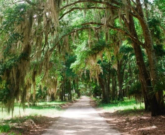 HHI Trees