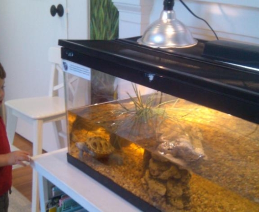 touch tank