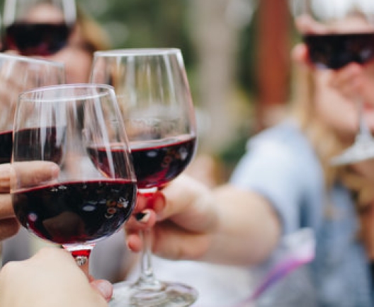 Group of people toasting with wine glasses
