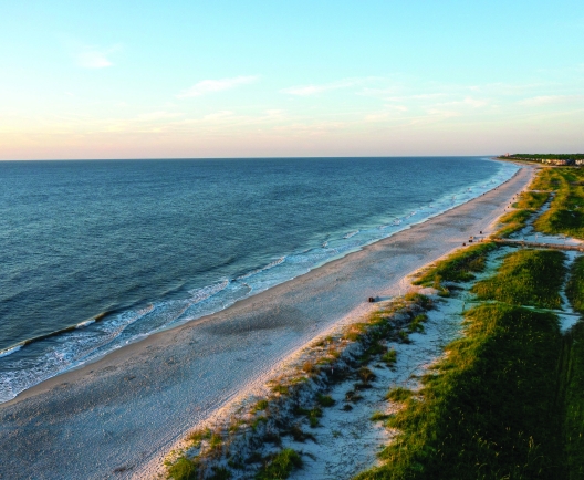 aerial shot of beach