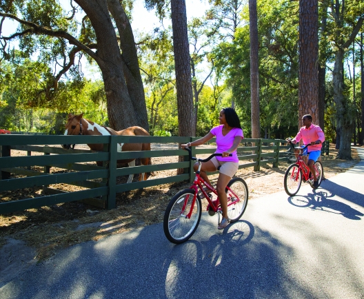 couple biking past horses