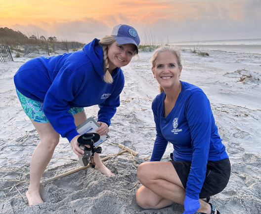 sea turtle patrol working on beach
