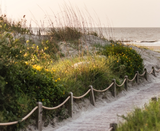 Path to beach