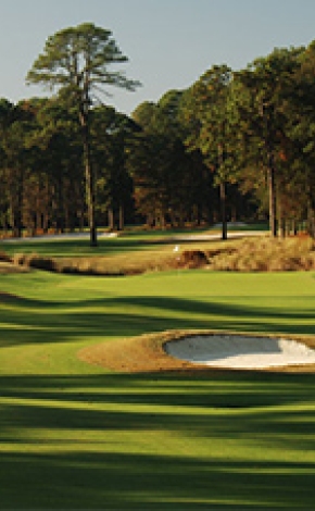 golf green