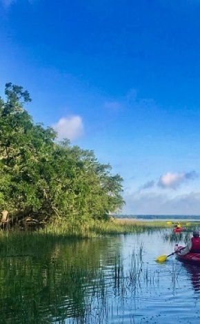 kayaks on water