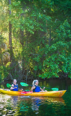 people kayaking