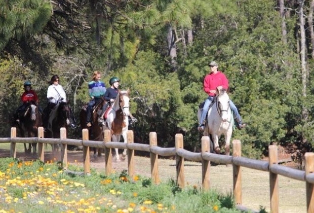 Lawton Stables