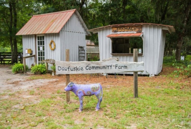 Daufuskie Community Farm