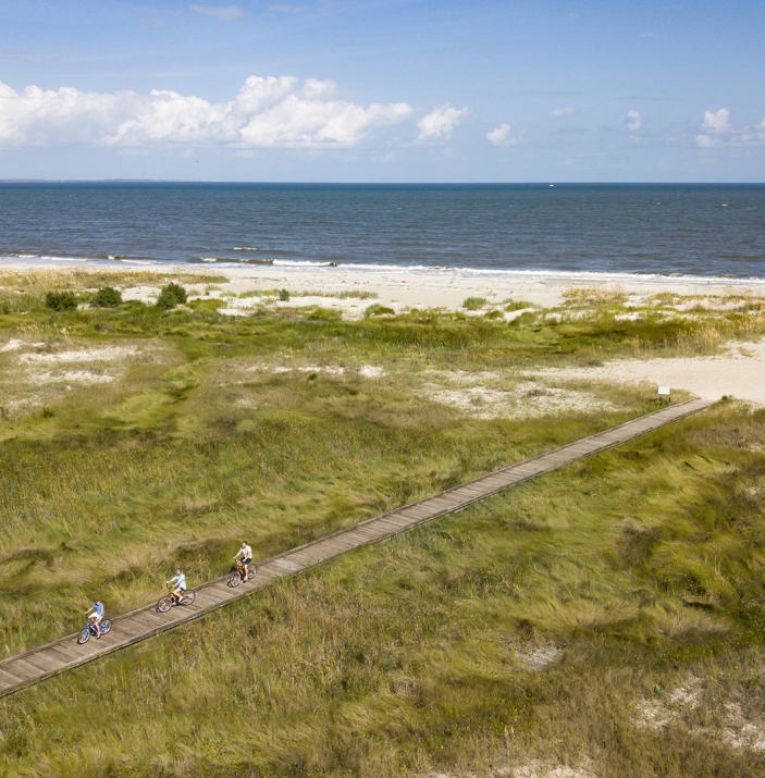 people biking on a pathway by the beach