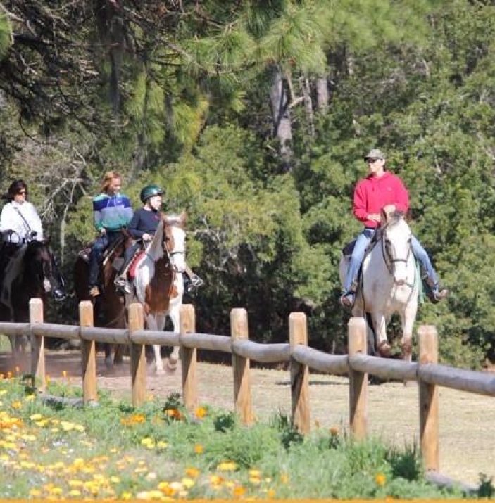 Lawton Stables